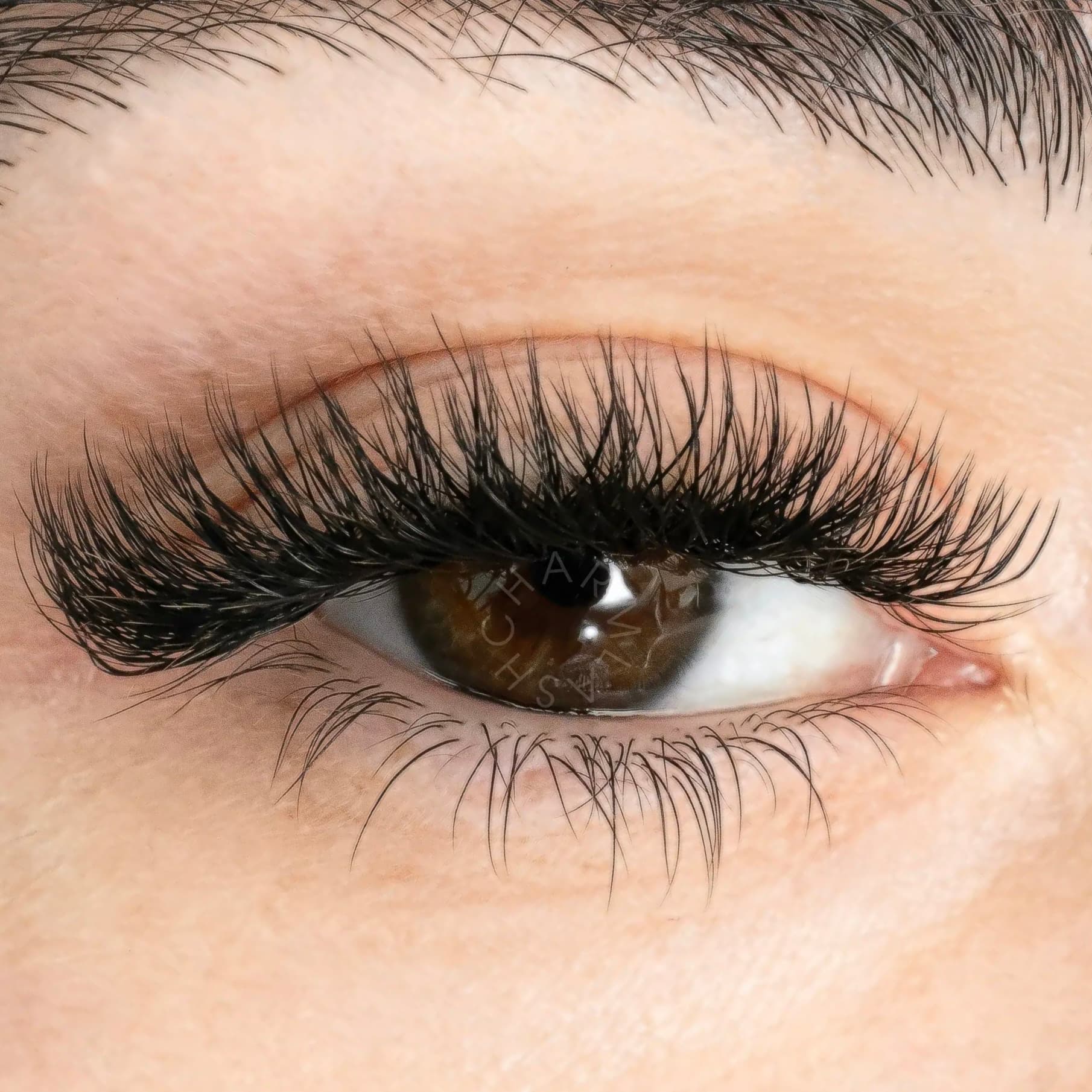 Volume lashes in West Edmonton